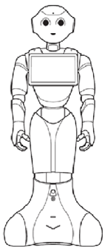 Pepper robot body.